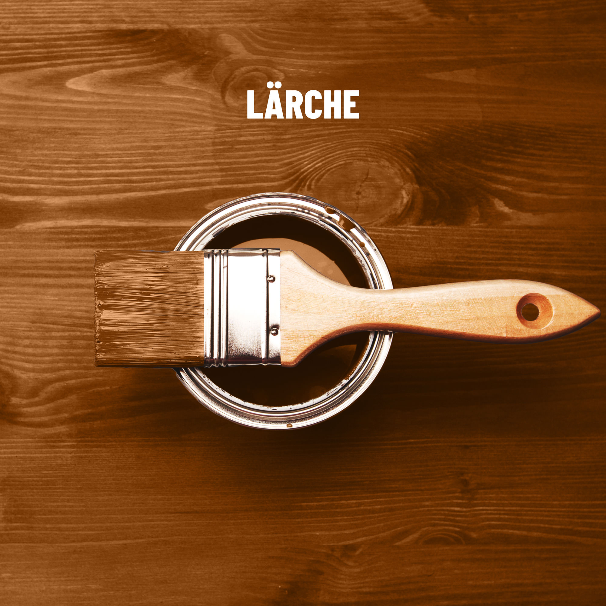 ECO Holzlasur Lärche