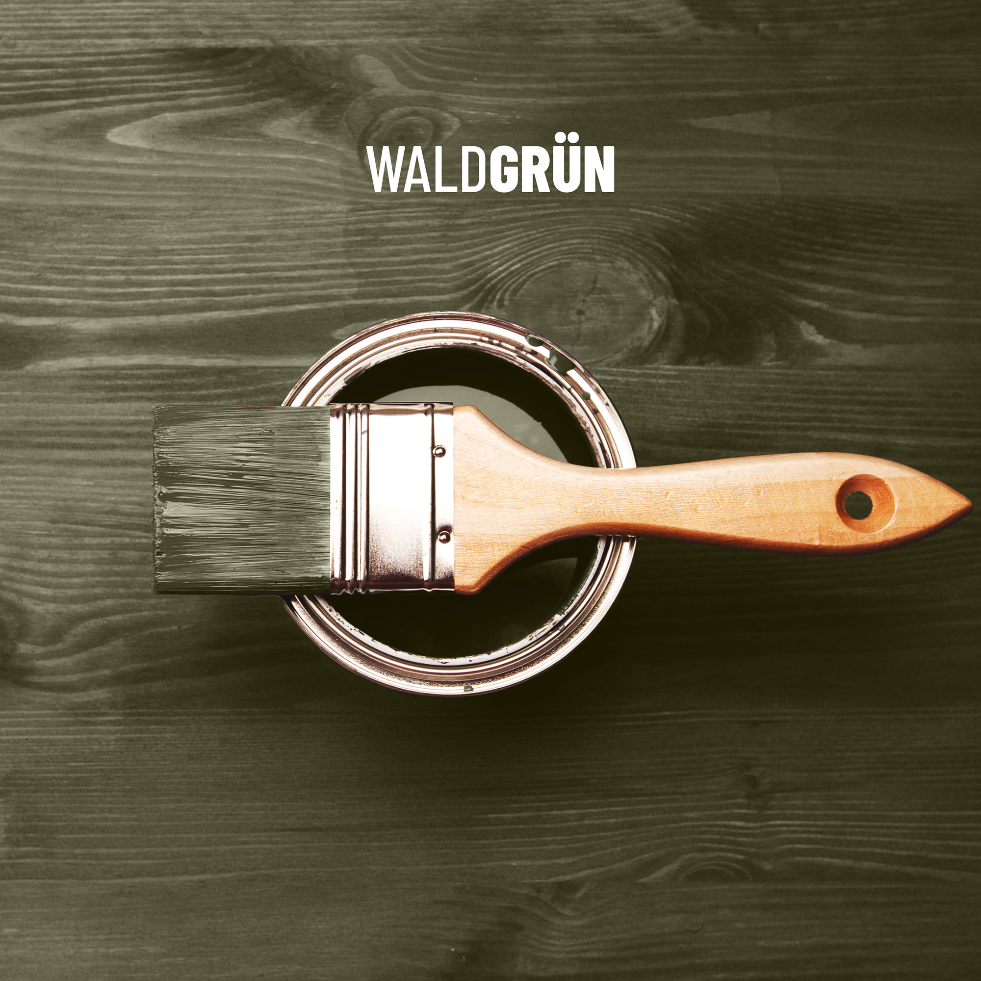 ECO Holzlasur Waldgrün ECO Holzlasur Waldgrün
